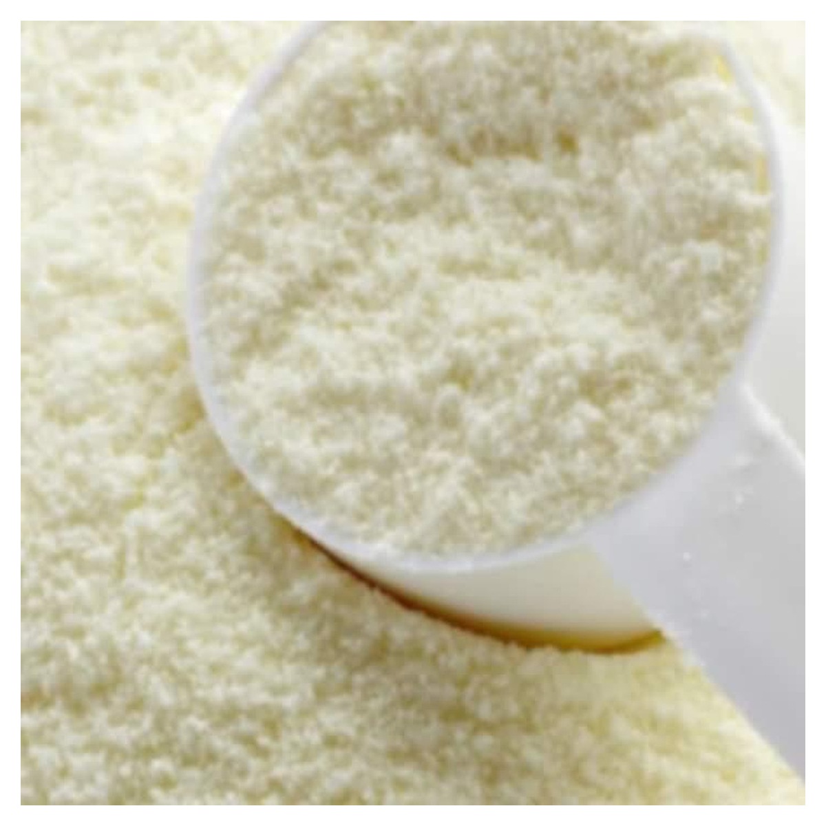 Demineralized Whey Powder